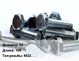 Болт 22х100 М22